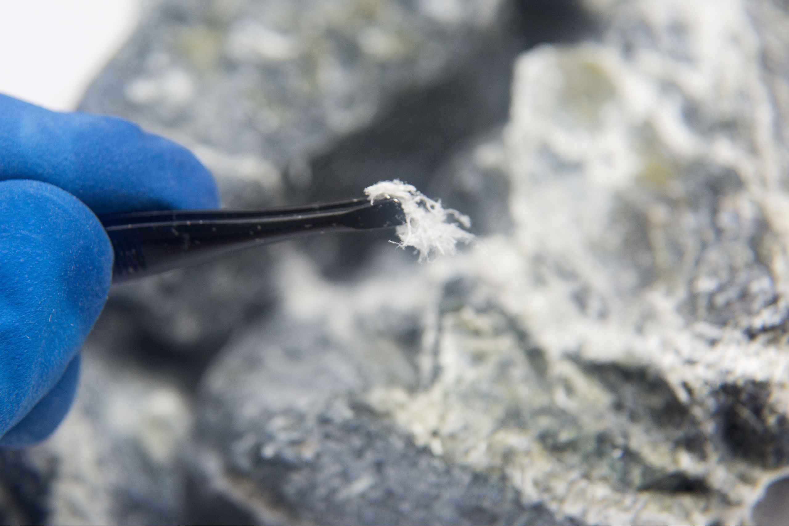 Asbestos fibre